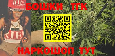 шишки Лесосибирск
